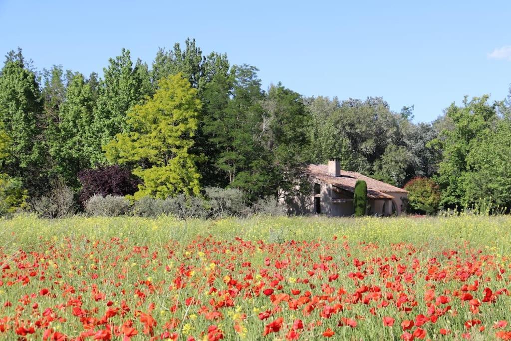 Le Jardin D'Erables St Remy 7 Ha Piscine/Clim Villa Paluds de Noves Exterior photo